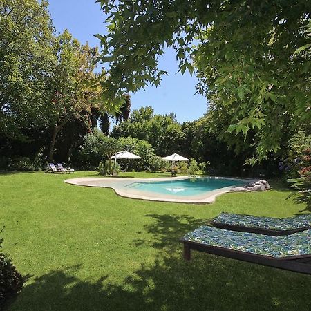 Beluga Of Constantia Guest House Ciudad del Cabo Exterior foto