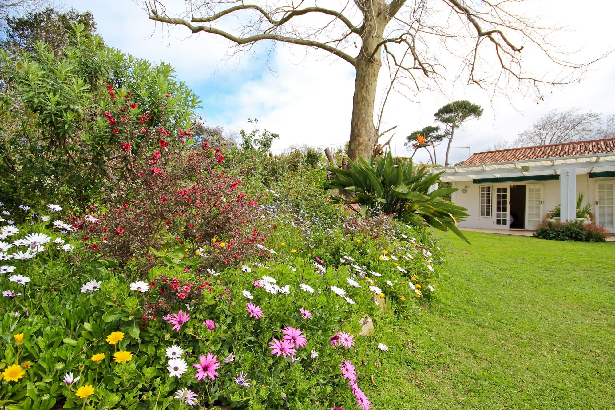 Beluga Of Constantia Guest House Ciudad del Cabo Exterior foto
